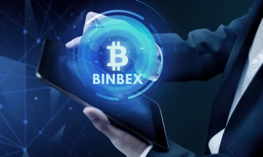 How Does Binbex Work